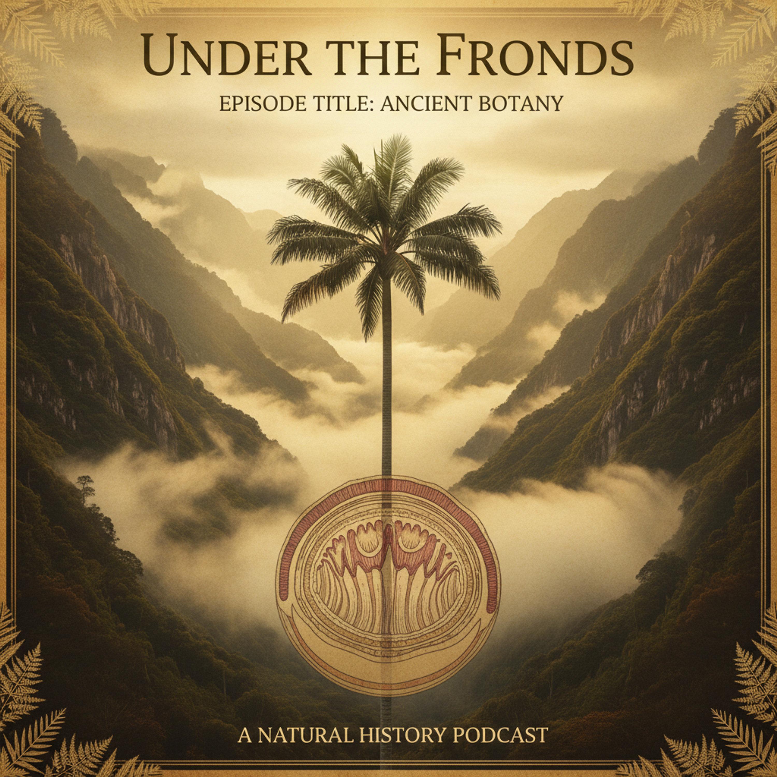 Cover art for Under the Fronds